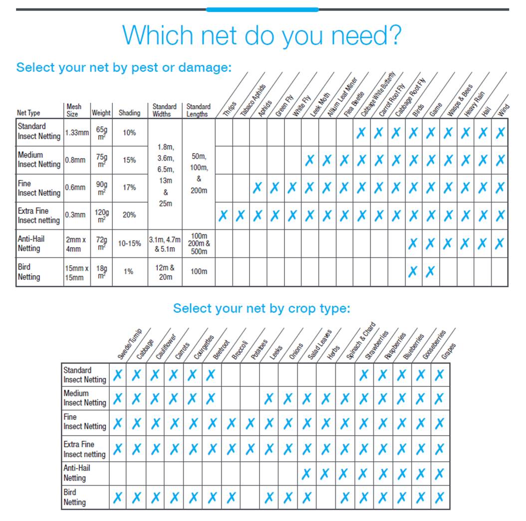 net chart